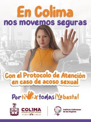 WhatsApp Image 2026-02-12 at 19.09.05